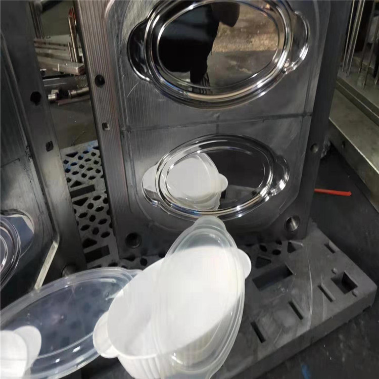 觀賞盆模具及產(chǎn)品